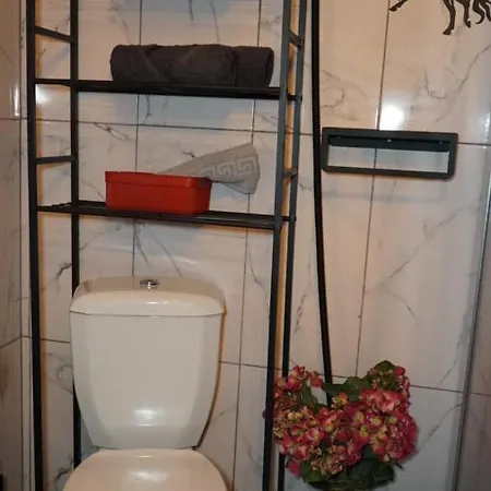 Galata Design 호텔